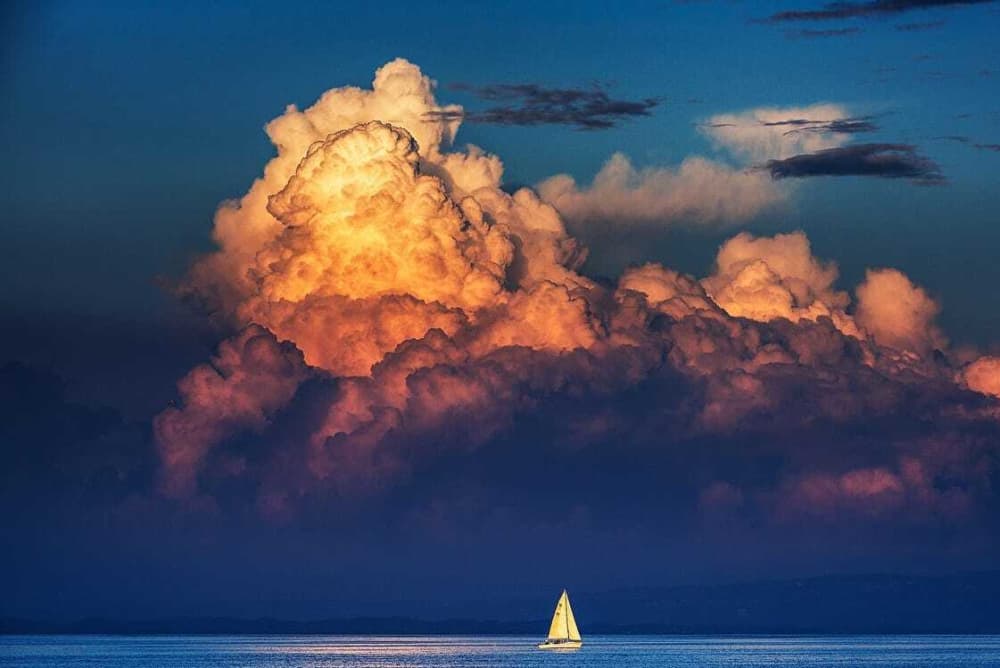 Traccia la rotta verso la gioia: una giornata intera di autentica navigazione a vela a Pescara su una barca a vela.