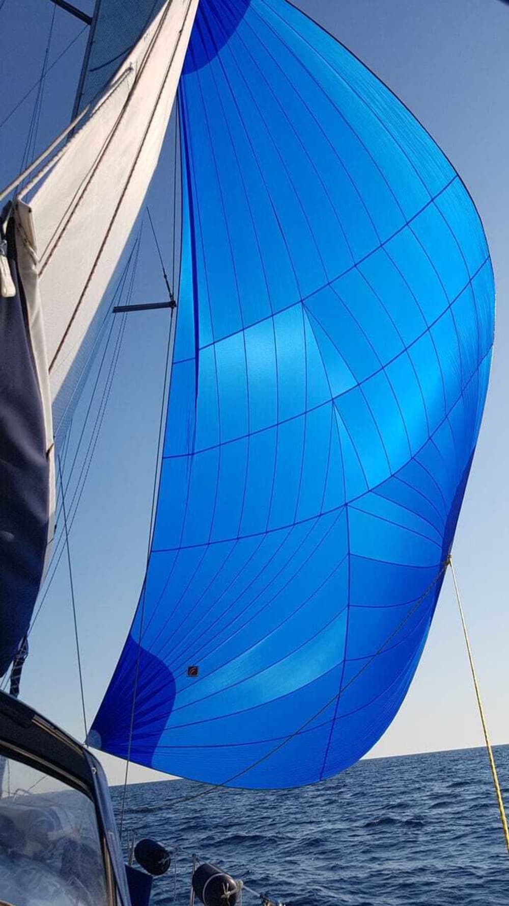 Traccia la rotta verso la gioia: una giornata intera di autentica navigazione a vela a Pescara su una barca a vela.