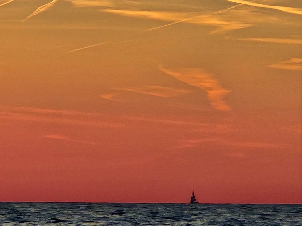 Traccia la rotta verso la gioia: una giornata intera di autentica navigazione a vela a Pescara su una barca a vela.
