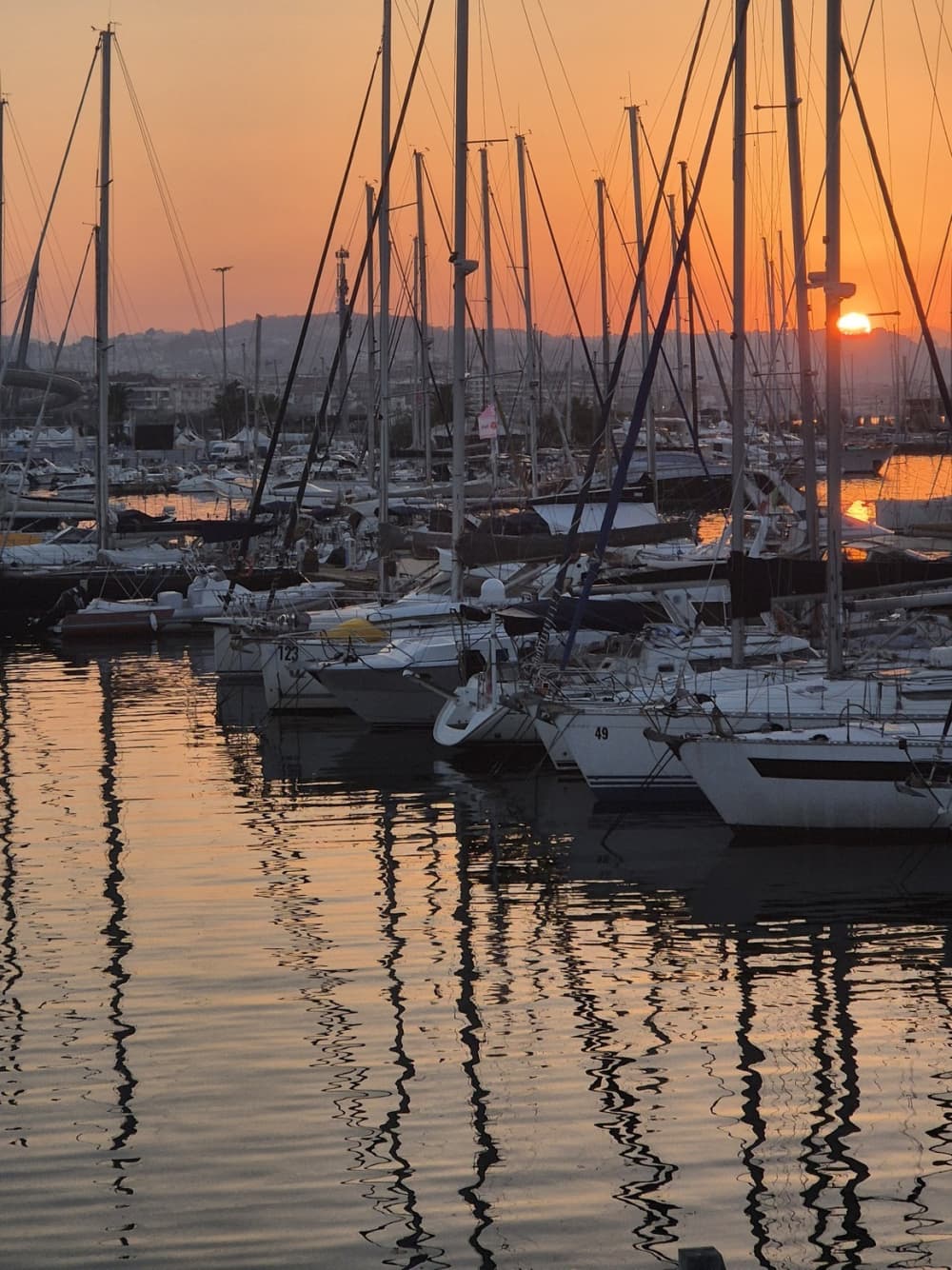 Traccia la rotta verso la gioia: una giornata intera di autentica navigazione a vela a Pescara su una barca a vela.