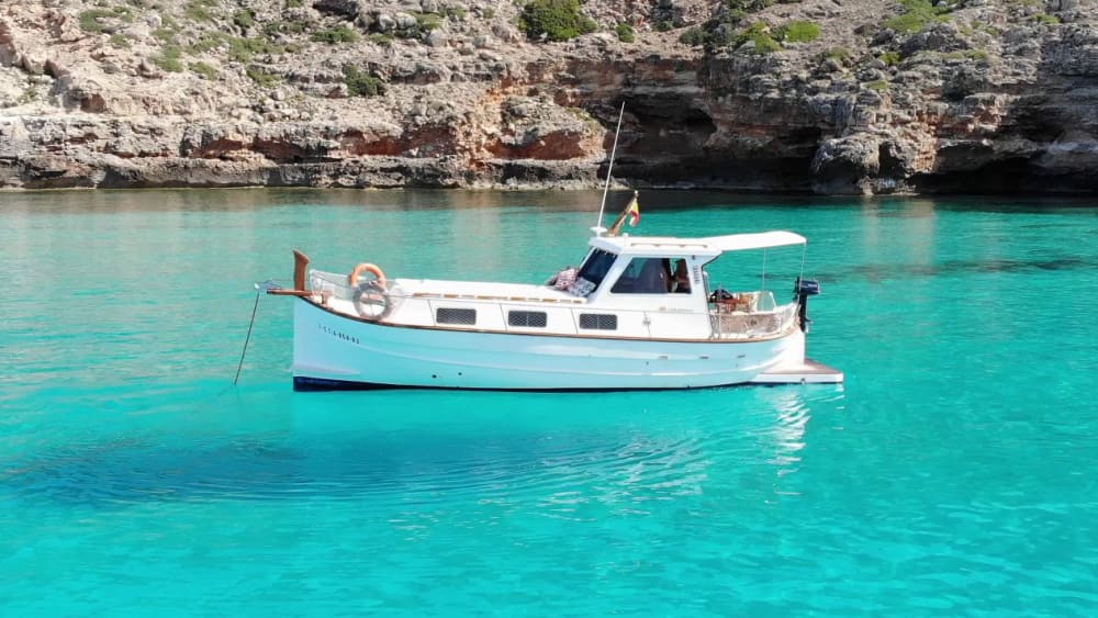 Escapade méditerranéenne : visite d'une demi-journée à Majorque, 4 heures