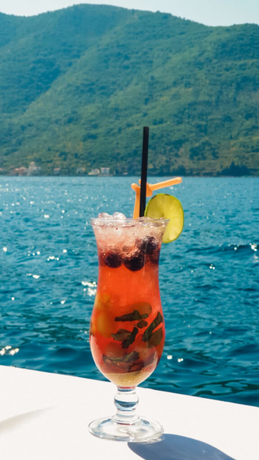 Ultimate Open Sea Expedition – Heldagstur