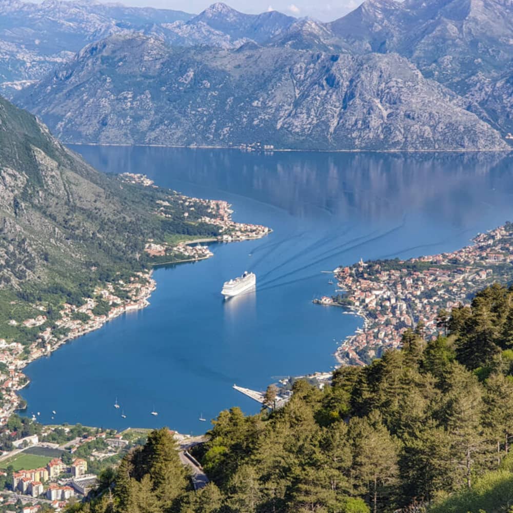 Ultimate Open Sea Expedition – Heldagstur