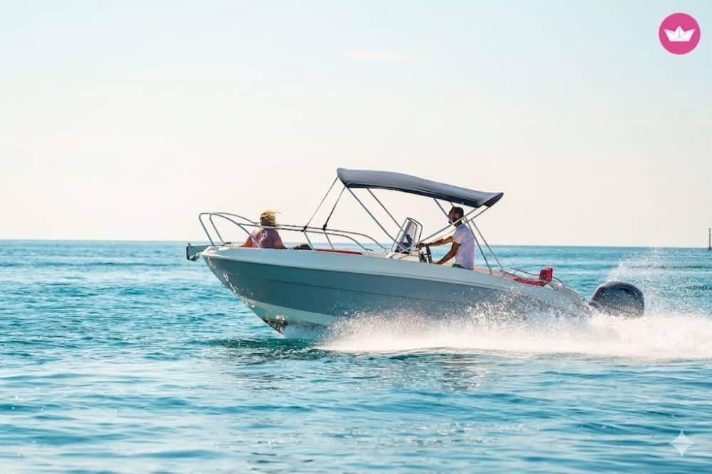 Dolphin watch and sunset cruise