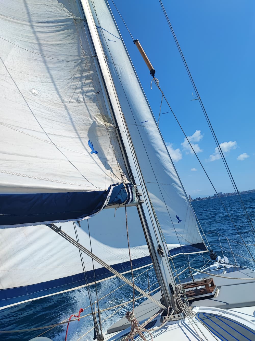 Füllung (4h). Entspannen Sie beim Segeln durch die Bucht – Natur und die Küste von Alicante in einem halben Tag
