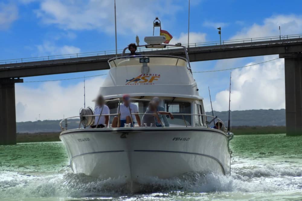 Erstklassige Entdeckungsreise durch die Gemeinde El Puerto de Santa María: Genießen Sie ein 4-stündiges Erlebnis auf einer Motoryacht.