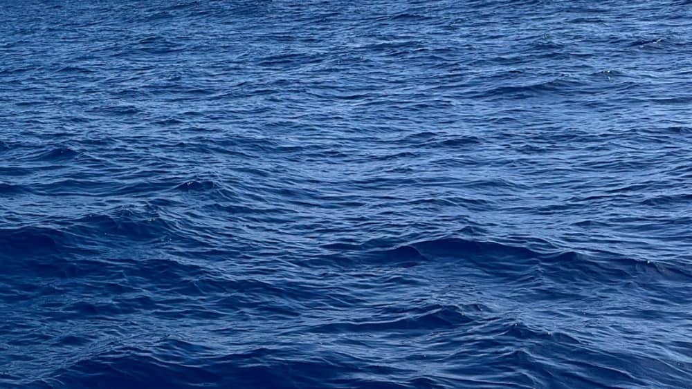 Escursione di un'intera giornata in barca a vela a Sorrento.