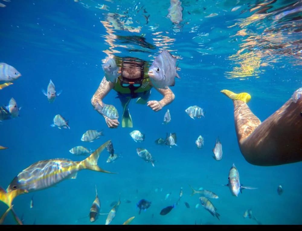 Passeio de meio dia em Sosúa de barco a motor