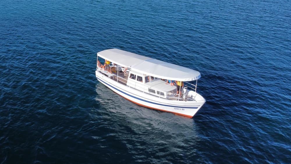 Una auténtica escapada al Adriático: 8 horas en la belleza prístina de Sveti Filip I Jakov.