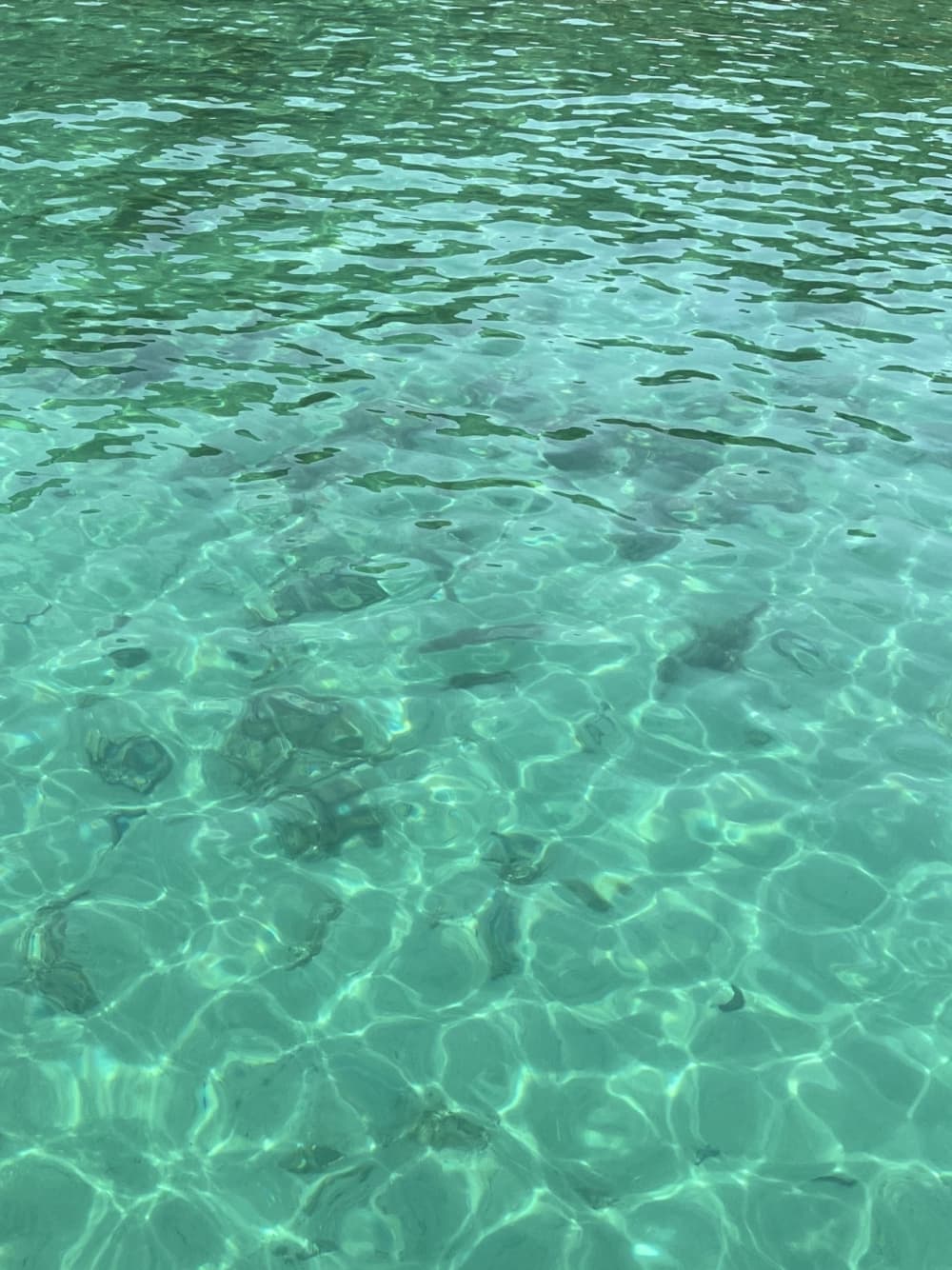 Una auténtica escapada al Adriático: 8 horas en la belleza prístina de Sveti Filip I Jakov.