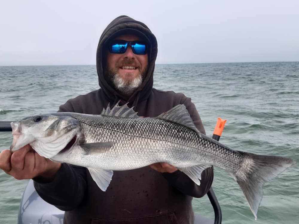 Découvrez Le Havre comme jamais auparavant à bord d'un bateau à moteur