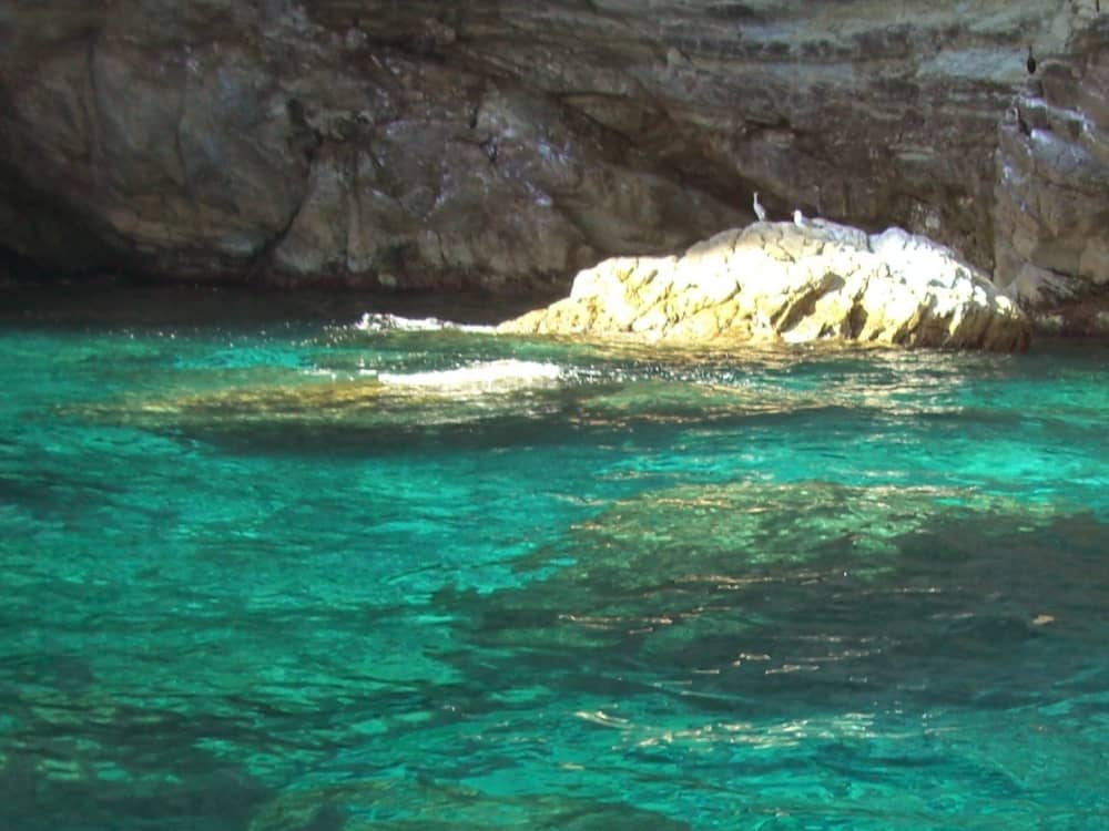 One day around La Spezia: Enjoy 7h of discovery on a motorboat