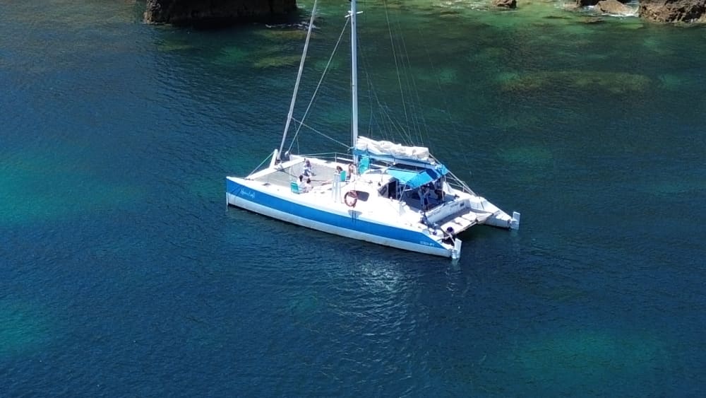 Goditi mezza giornata in catamarano ad Alvor