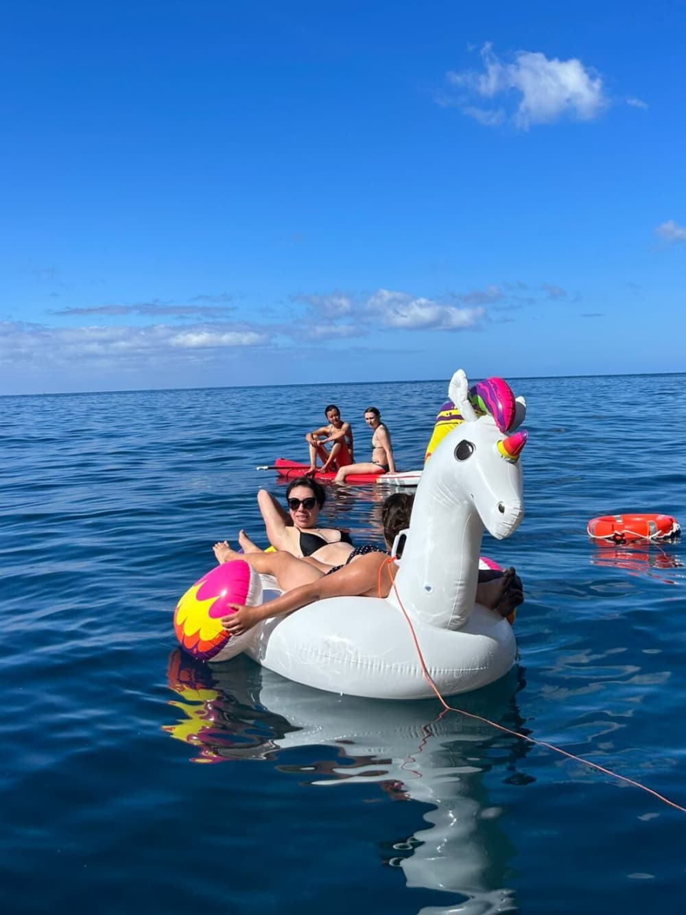 Horizonte Dourado: Navegação ao Pôr do Sol saindo do Funchal