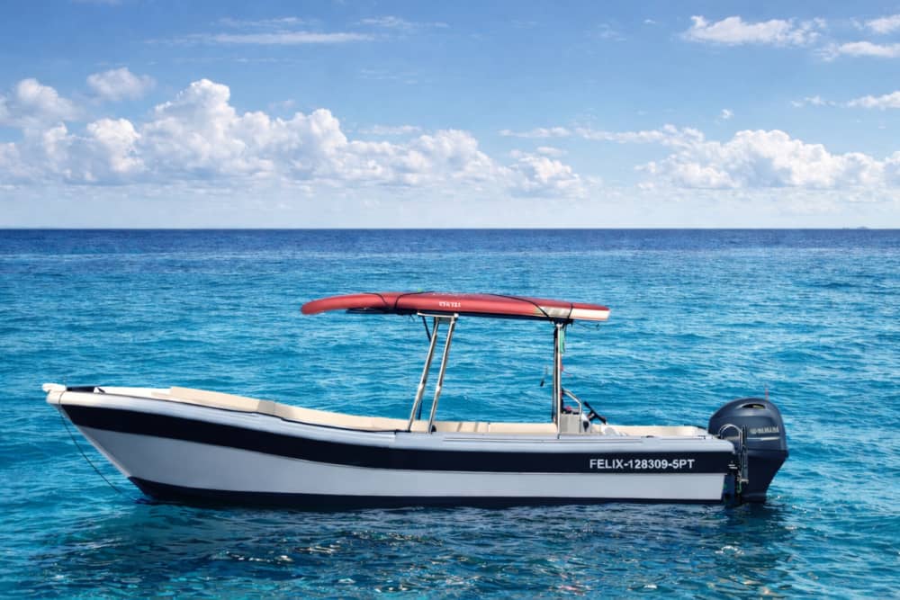 Horizonte Dourado: Navegação ao Pôr do Sol saindo do Funchal