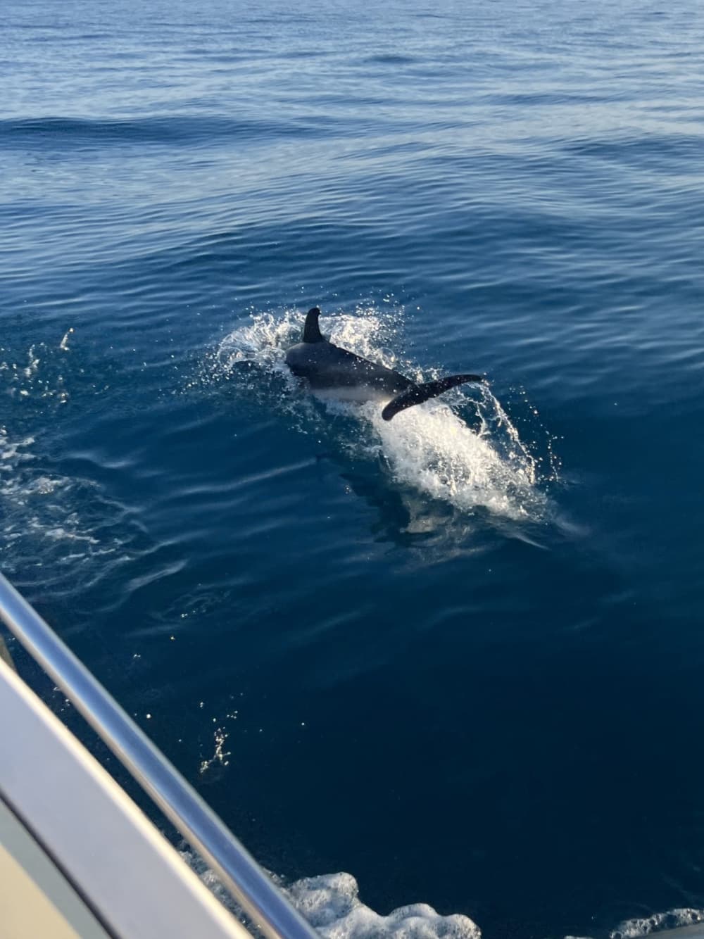Enkel Monaco-resa: En 4 timmars båttur med motorbåt