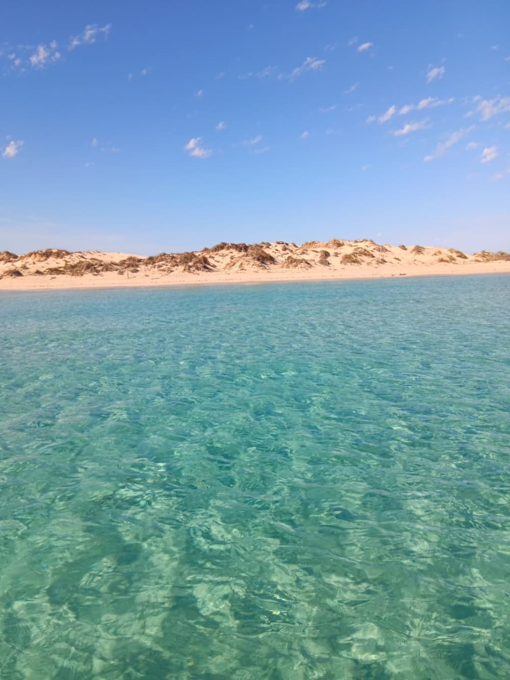 Scopri Formentera dal mare: fuga in catamarano