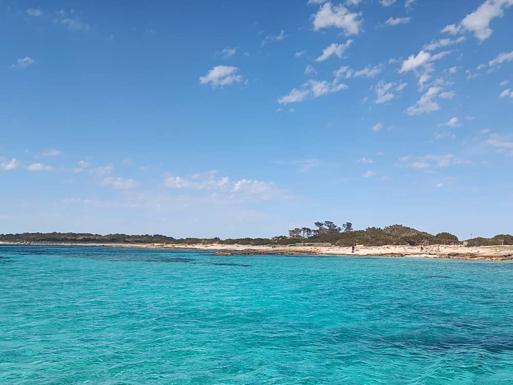 Scopri Formentera dal mare: fuga in catamarano