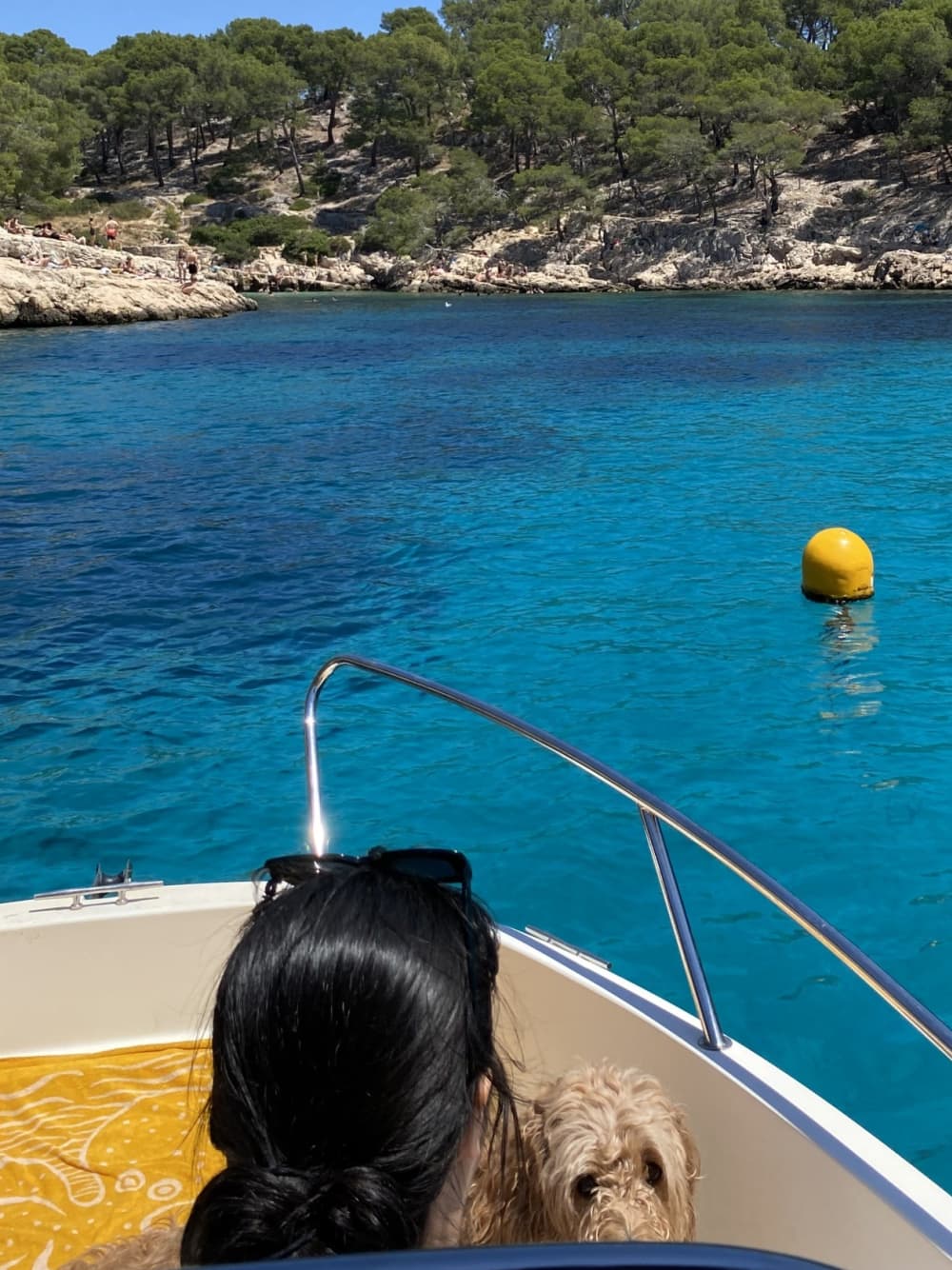 Entdecken Sie die Küste von La Ciotat: Ein kompletter Tagesausflug an Bord eines Motorboots