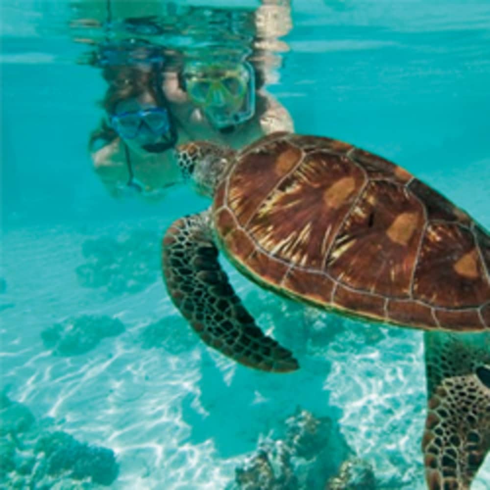 Half-Day Snorkel & Beach Adventure on Be Happy: Little Bay, Baie Longue & Mullet Bay