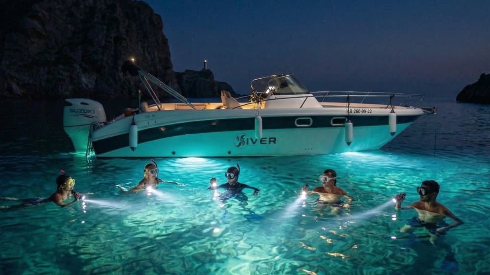 Night Snorkeling in Sóller