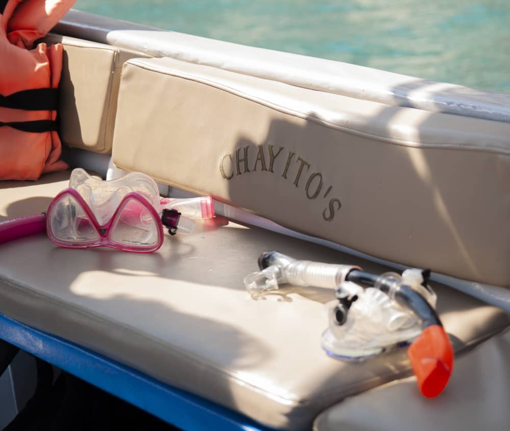 Vivre au rythme des vagues : une escapade d'une demi-journée à Cabo San Lucas à bord d'un bateau à moteur