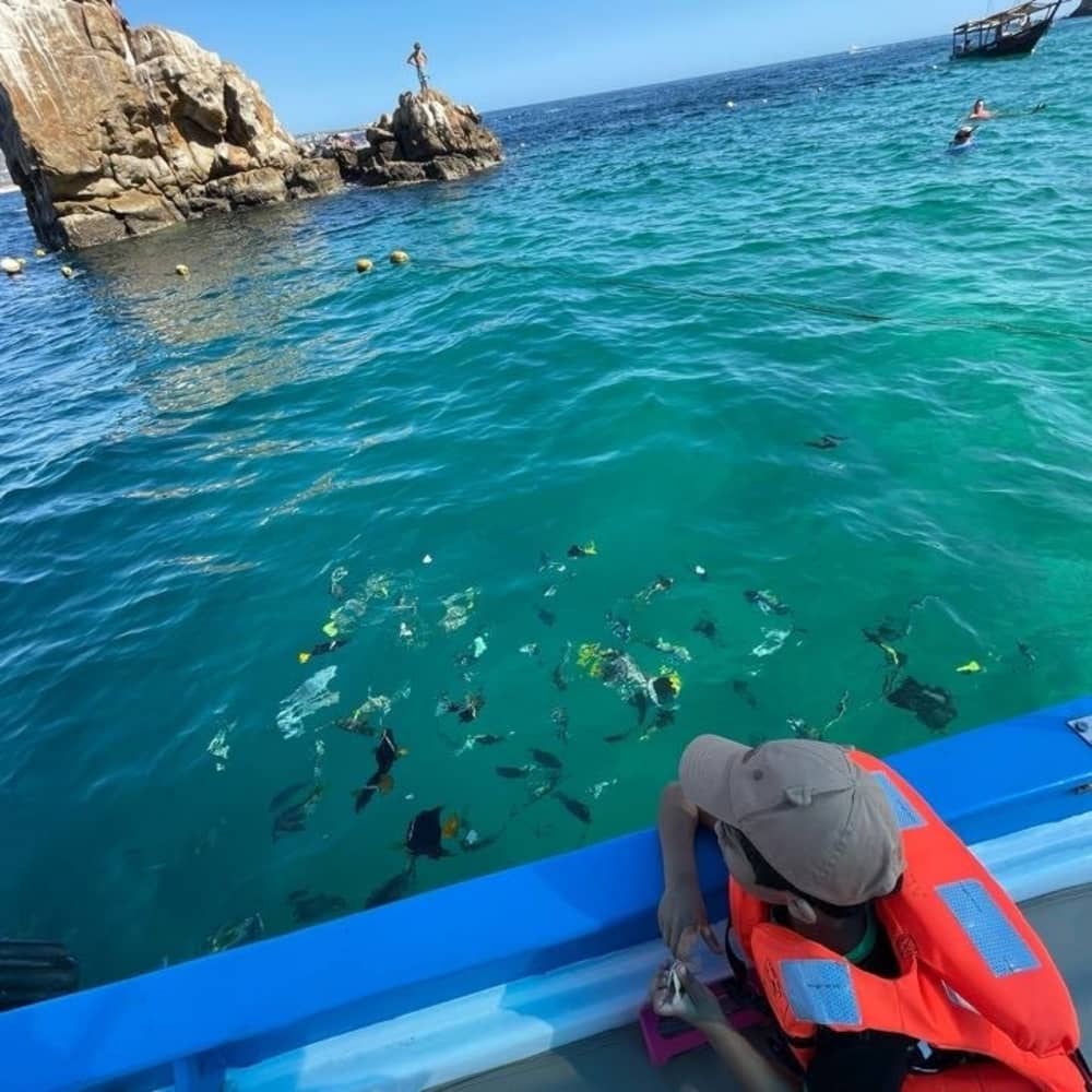 Vivre au rythme des vagues : une escapade d'une demi-journée à Cabo San Lucas à bord d'un bateau à moteur