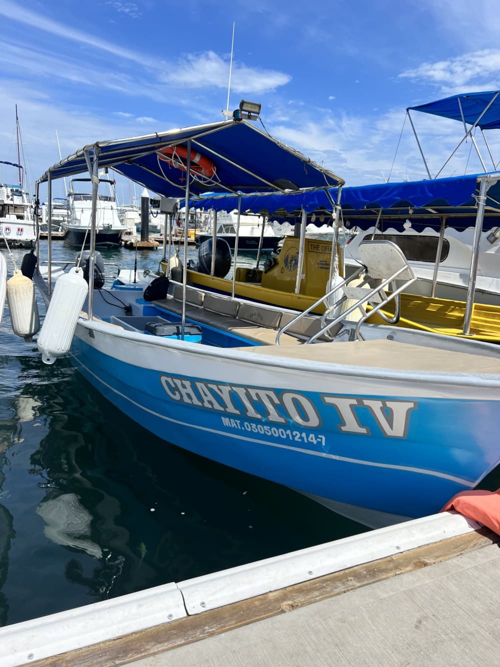 Vivre au rythme des vagues : une escapade d'une demi-journée à Cabo San Lucas à bord d'un bateau à moteur