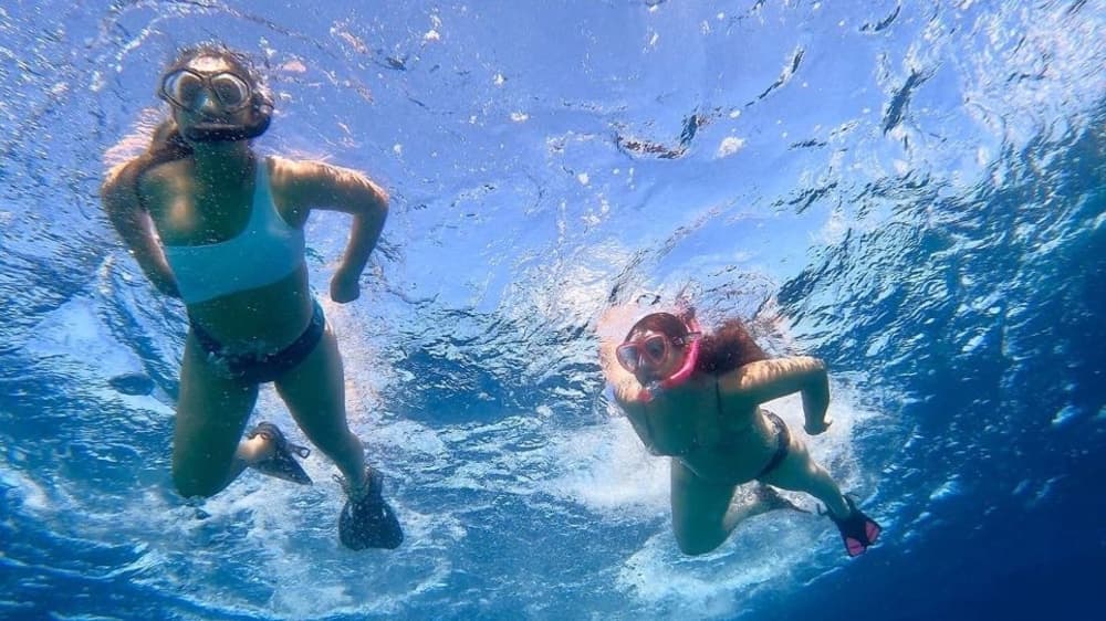 Vivre au rythme des vagues : une escapade d'une demi-journée à Cabo San Lucas à bord d'un bateau à moteur
