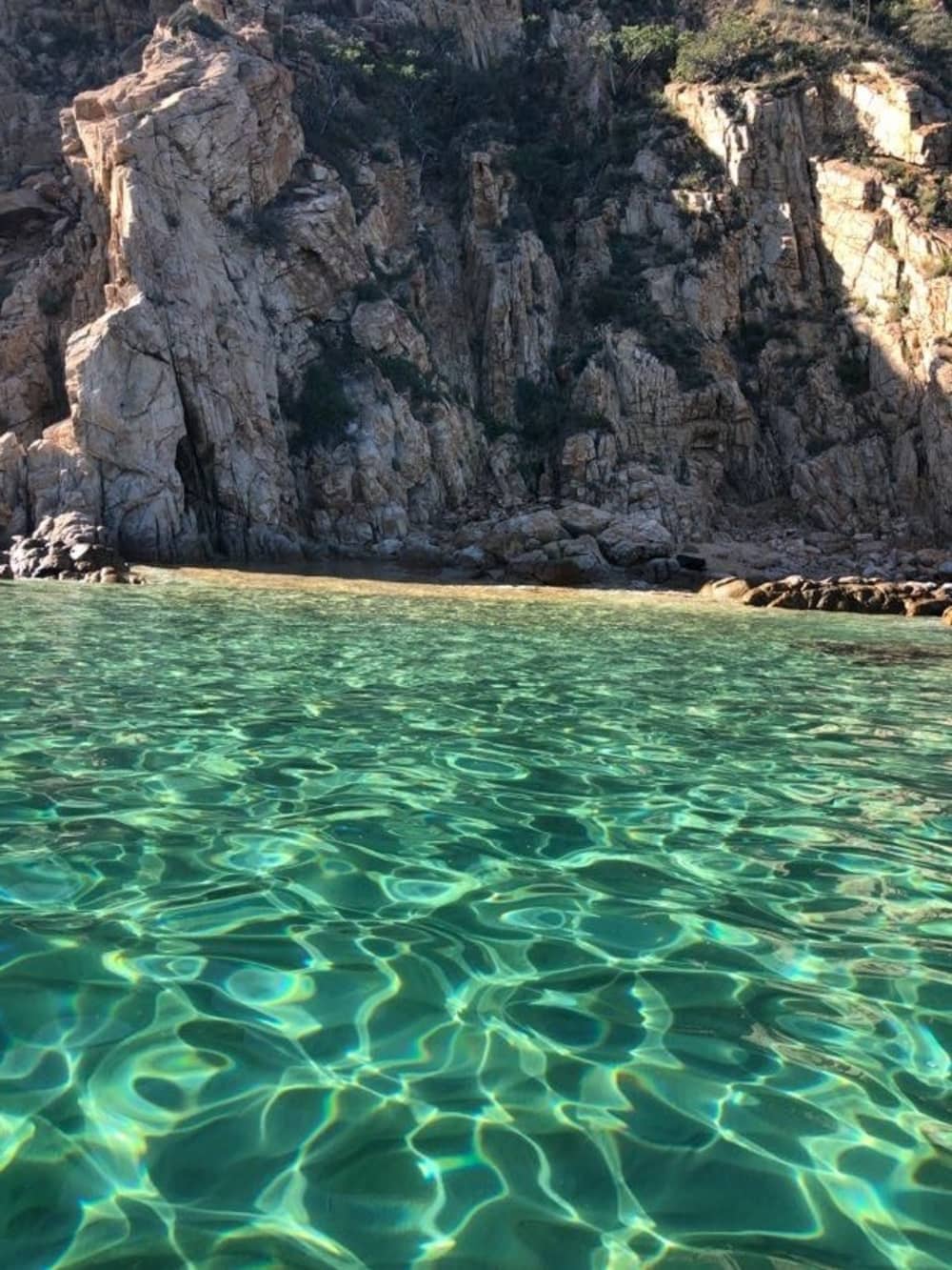 Vivre au rythme des vagues : une escapade d'une demi-journée à Cabo San Lucas à bord d'un bateau à moteur
