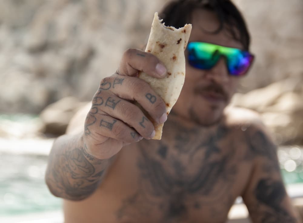 Vivre au rythme des vagues : une escapade d'une demi-journée à Cabo San Lucas à bord d'un bateau à moteur