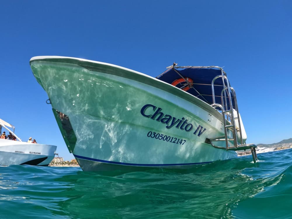 Vivre au rythme des vagues : une escapade d'une demi-journée à Cabo San Lucas à bord d'un bateau à moteur