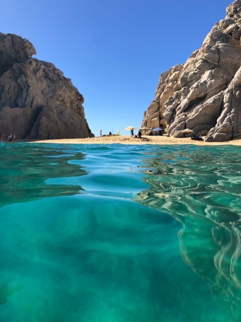 Vivre au rythme des vagues : une escapade d'une demi-journée à Cabo San Lucas à bord d'un bateau à moteur