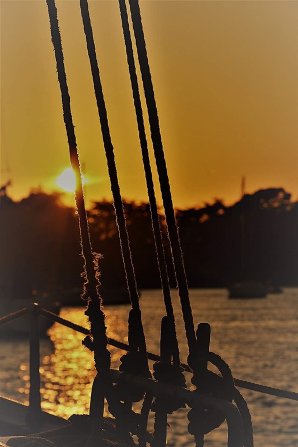 Le meilleur de Vannes se découvre sur l'eau : une journée privée complète en voilier