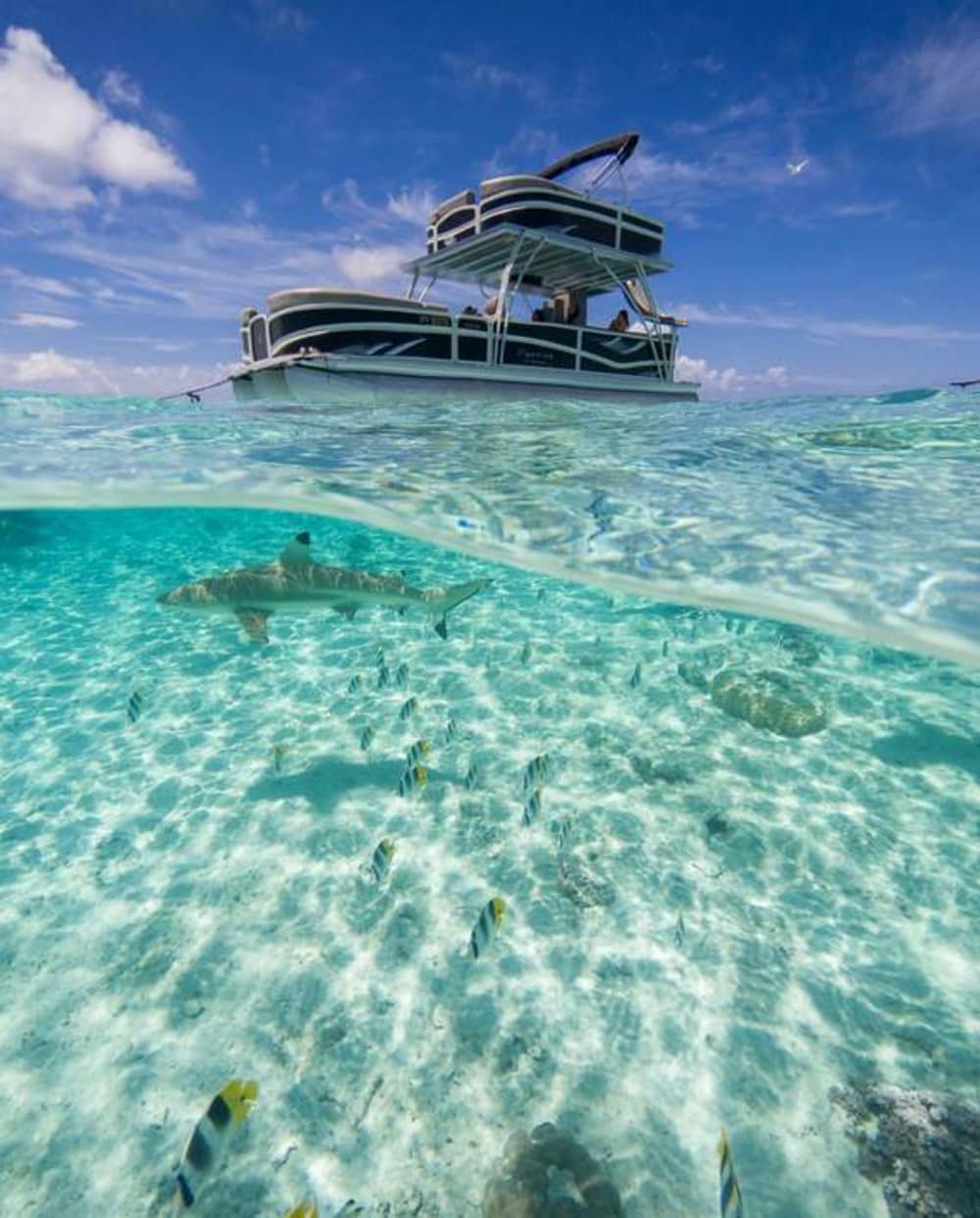 Hav, kärlek och sol: En heldag fylld av känslor på en motorbåt