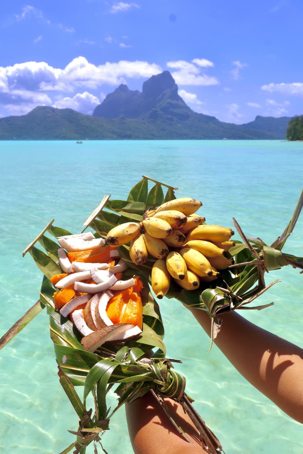 Toa Boat Bora Bora - Half-day private lagoon tour aboard the Entertainer Bar boat.
