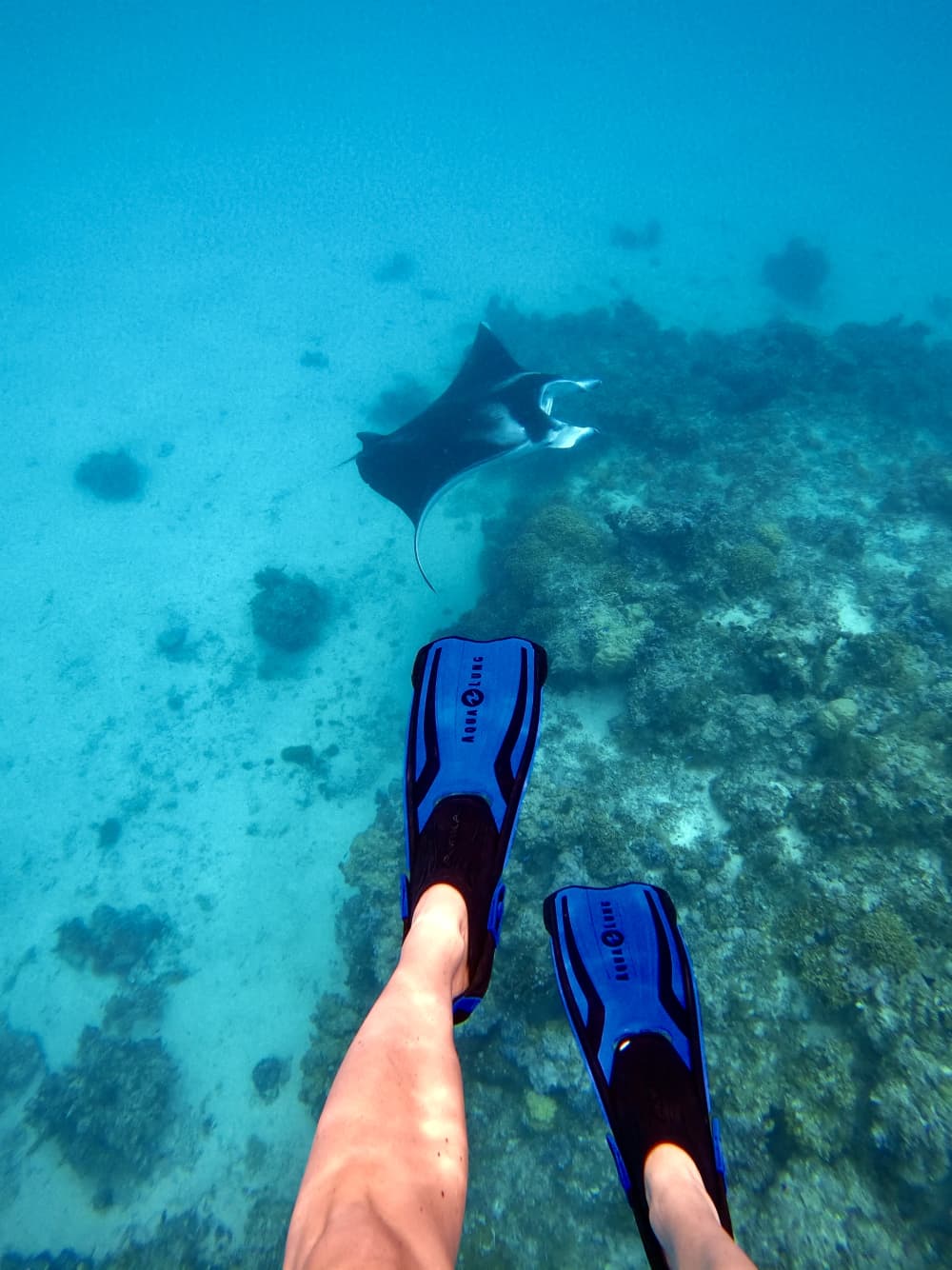 Toa Boat Bora Bora - Tour privato della laguna a bordo della barca Majestic.