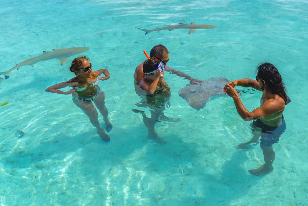 Toa Boat Bora Bora - Excursión privada de día completo por la laguna con almuerzo a bordo del barco Majestic.