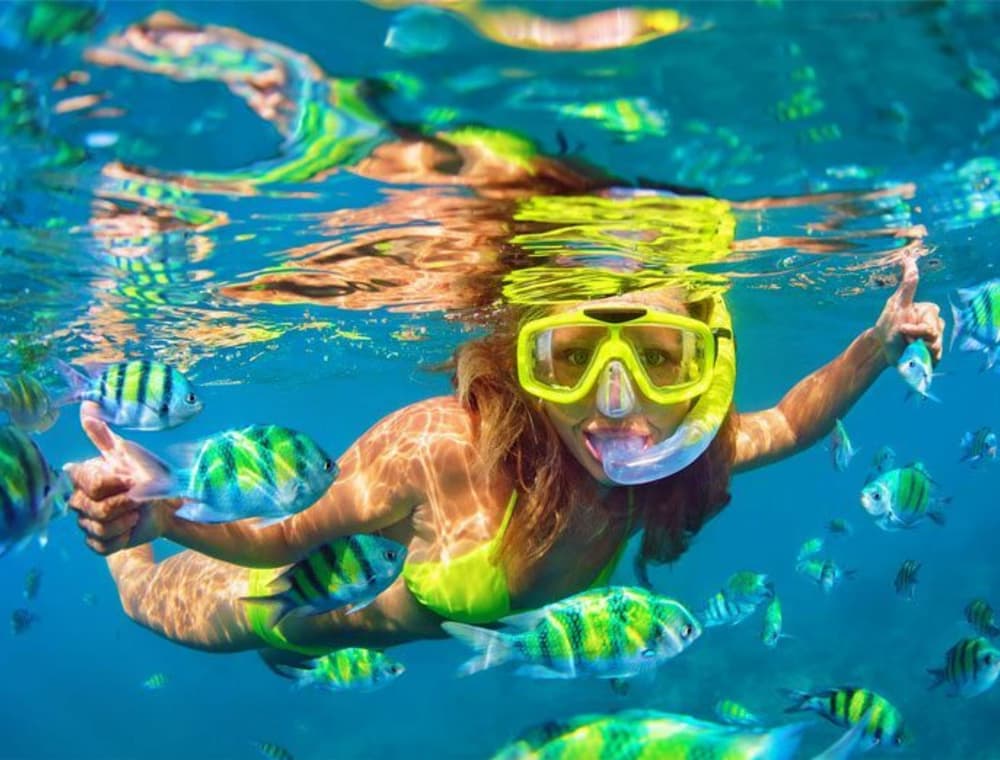 Explorez Carthagène et profitez d'une journée complète de navigation en catamaran.