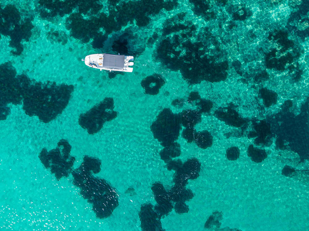 Prywatna Majorka: 4 godziny dziewiczych zatoczek i turkusowych wód (All Inclusive)