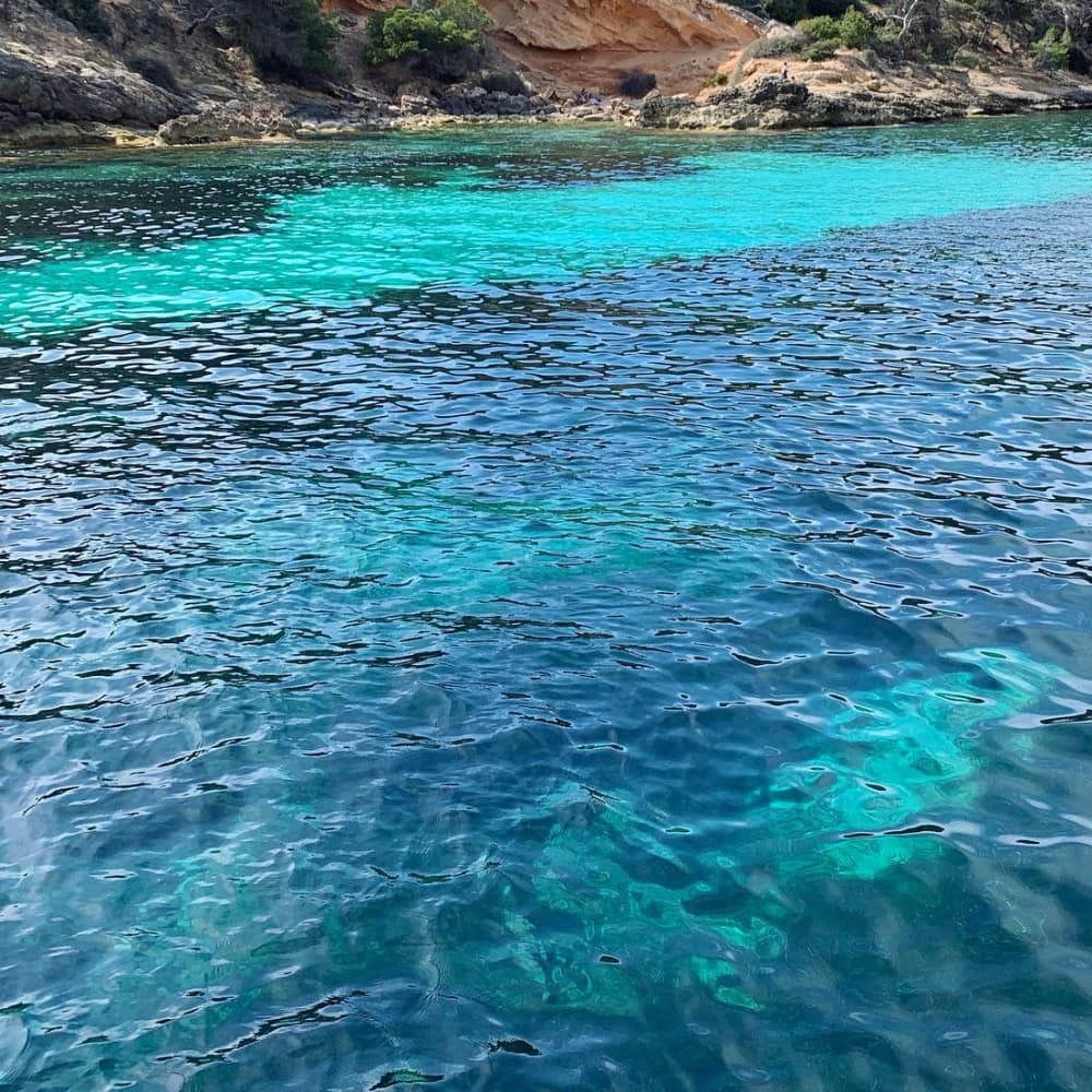 Prywatna Majorka: 4 godziny dziewiczych zatoczek i turkusowych wód (All Inclusive)