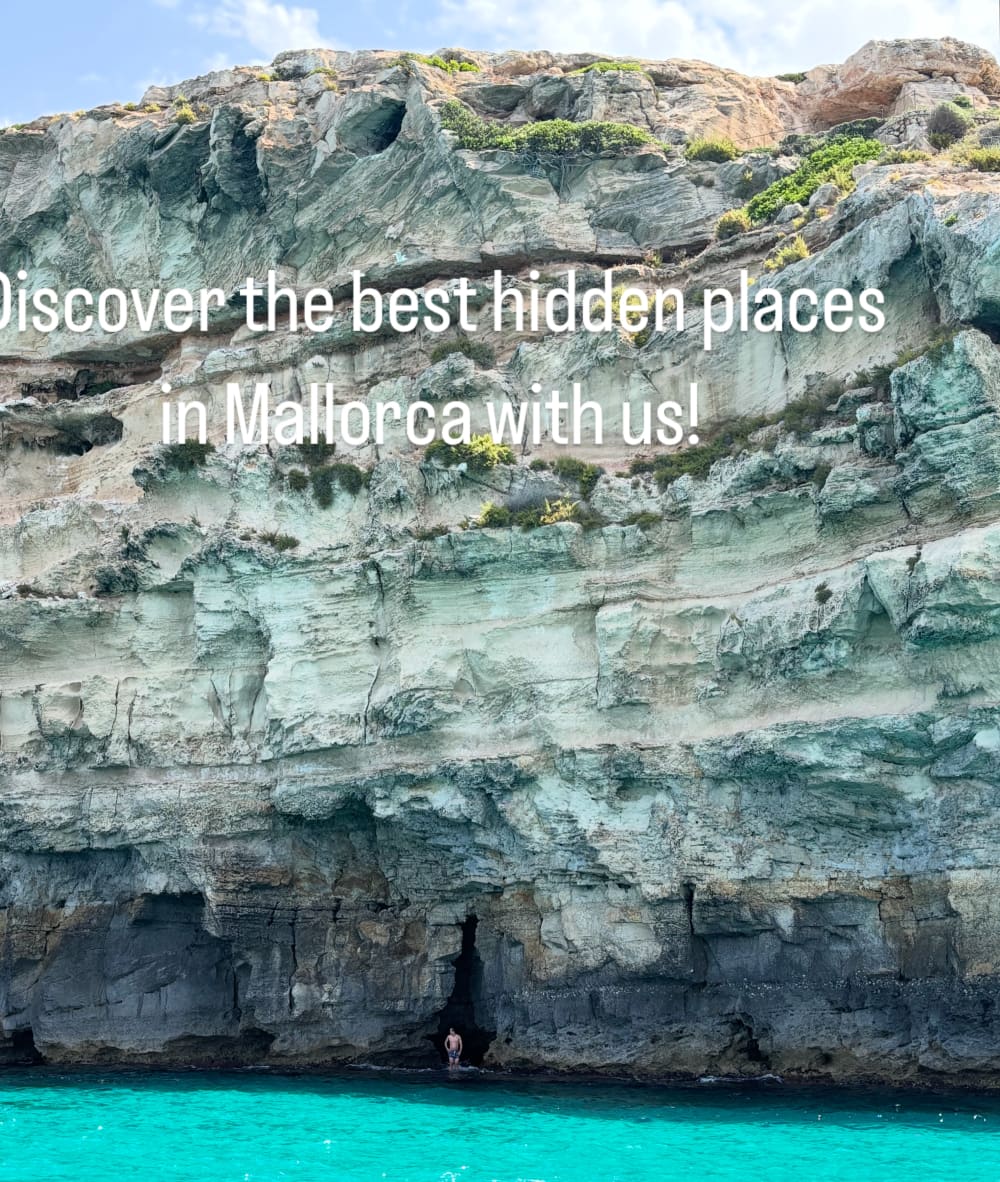 Prywatna Majorka: 4 godziny dziewiczych zatoczek i turkusowych wód (All Inclusive)