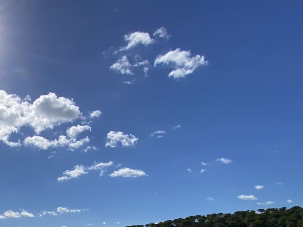 Une croisière sur mesure à San Teodoro : une journée magique à bord d'un yacht à moteur