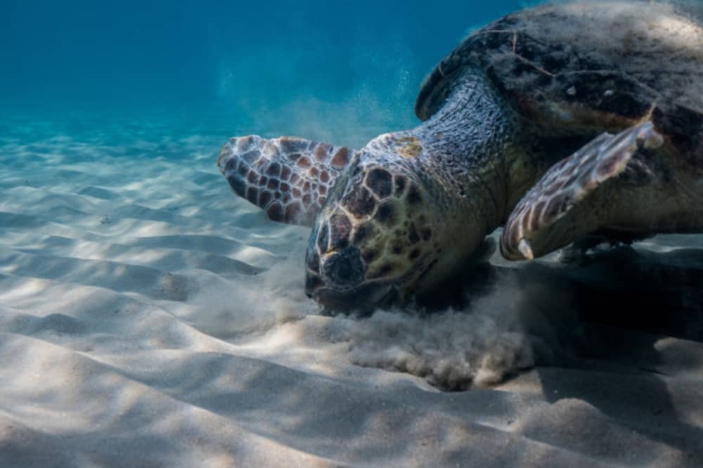 South Zakynthos by Sea: 6-Hour Private Cruise