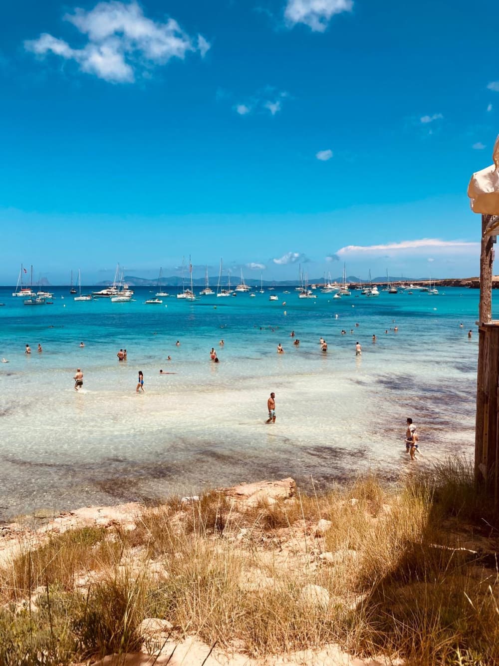 Pon rumbo a la alegría: Un día completo de navegación auténtica en La Savina a bordo de un velero.