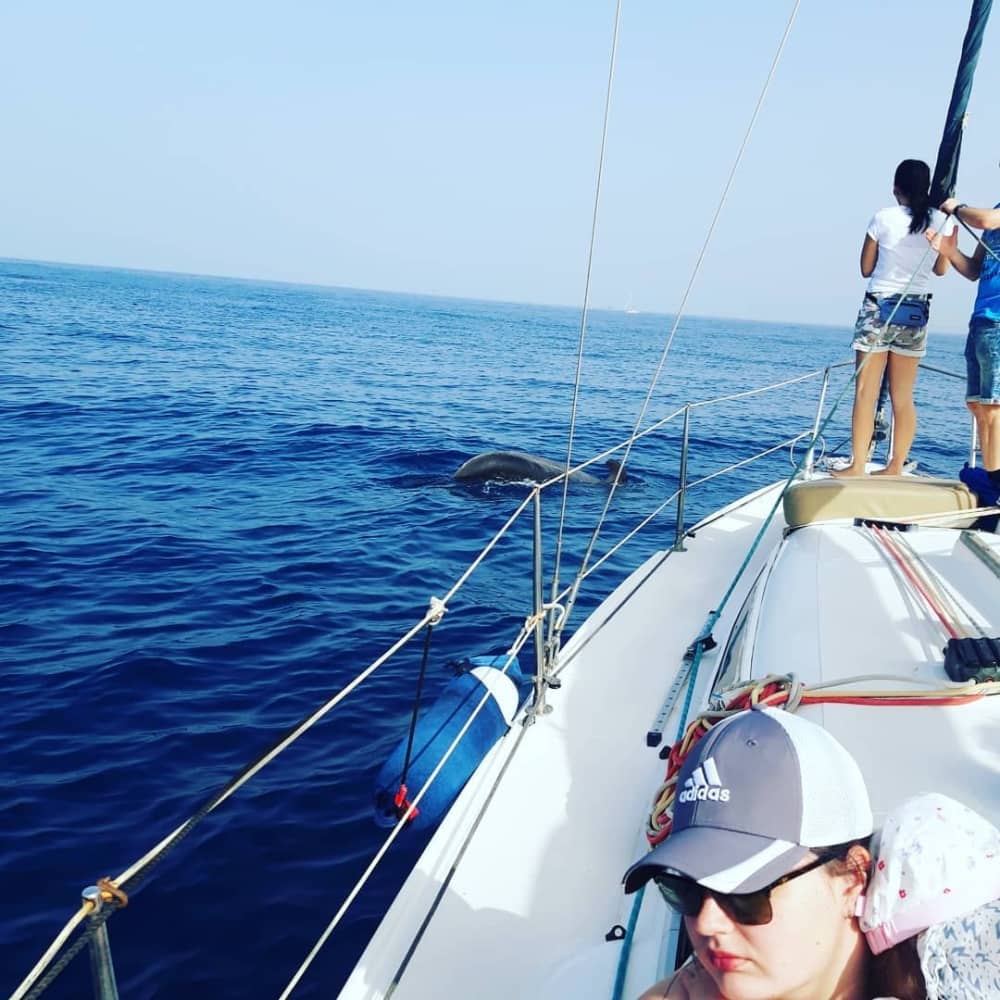 Experiència de navegació d'un dia complet en un veler a Costa Adeje