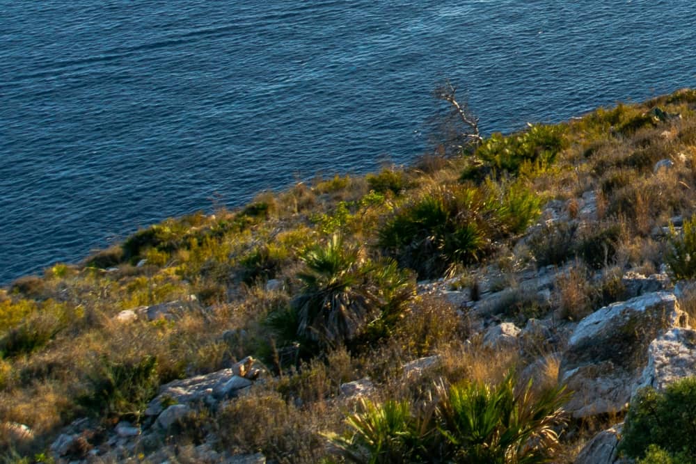 Altea, Benidorm i Calpe – morska ucieczka: Magia Costa Blanca (4 godz.)