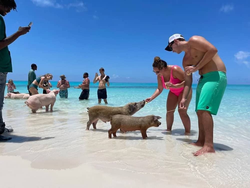 Tropical Escape: Luxurious Full-Day Boat Tour in Paradise