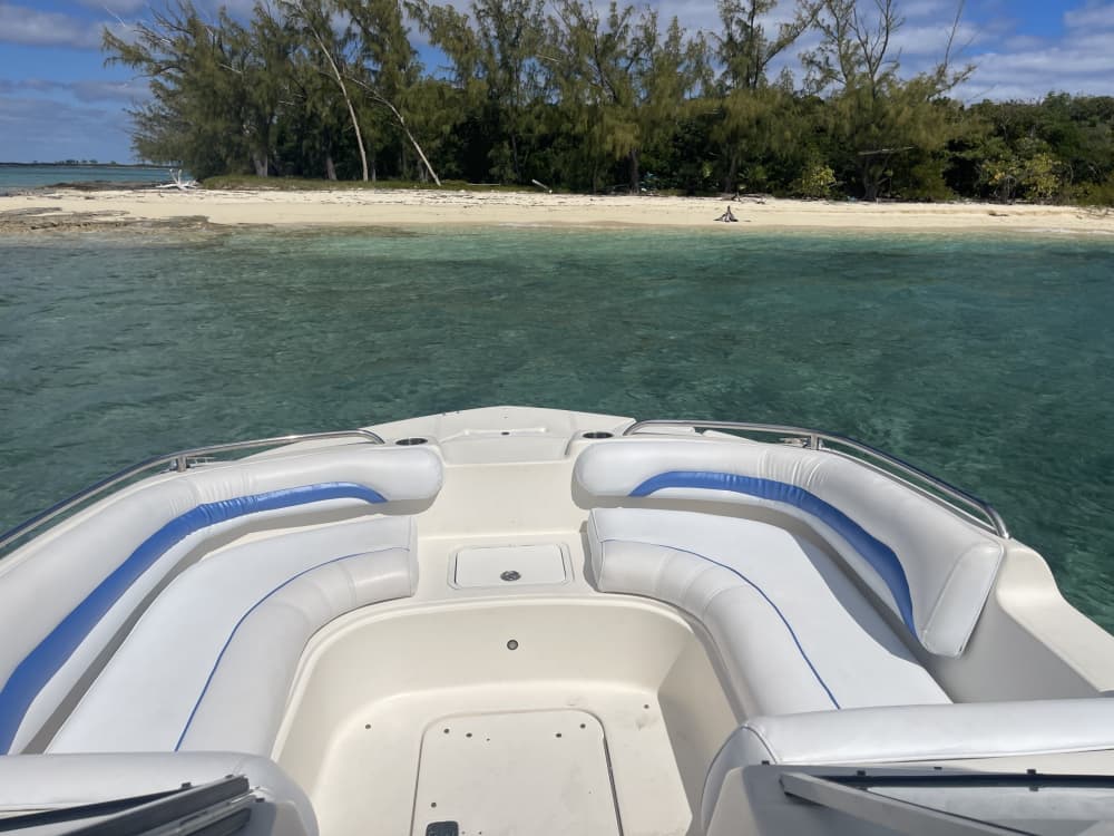 Half-day Bahamas Bliss: Swim with Turtles & Snorkel Rose Island