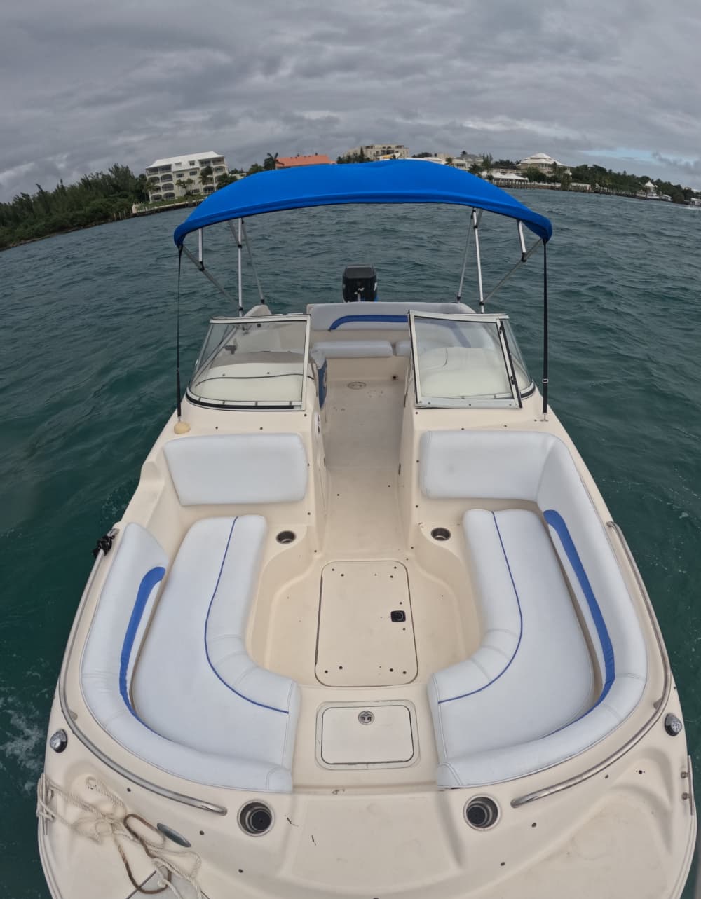 Half-day Bahamas Bliss: Swim with Turtles & Snorkel Rose Island